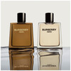 Burberry Hero edt 100ml