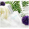 Clean Air edp 60ml (2015 version)