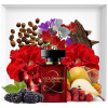 Dolce & Gabbana The Only One 2 edp 100ml