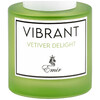 Emir Vibrant Vetiver Delight edp 100ml