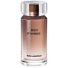 Karl Lagerfeld Bois D' Ambre edt 100ml