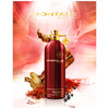 Montale Paris Red Aoud edp 100ml