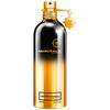 Montale Paris Leather Patchouli edp 100ml