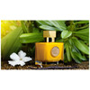 Nectar Olfactif Melipona Extrait de Parfum 100ml