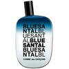 Comme des Garcons Blue Santal edp 100ml