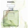 Chanel No.19 Poudré edp 100ml