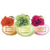 Coach Poppy Citrine Blossom edp 100ml