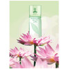 Elizabeth Arden Green Tea Lotus edt 100ml