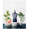 Jean Paul Gaultier Le Male In The Navy edt 125ml