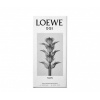 Loewe Fashion 001 Man edp 50ml