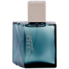 Iceberg Homme edt 100ml