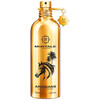 Montale Paris Arabians edp 100ml