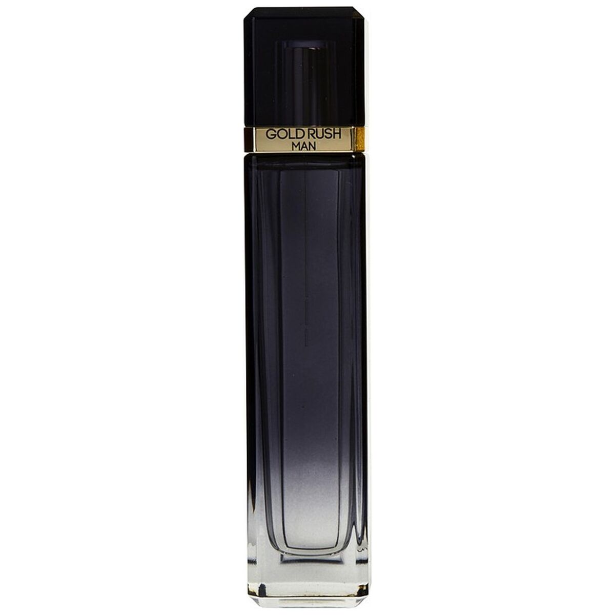 Paris Hilton Gold Rush Man edp 100ml