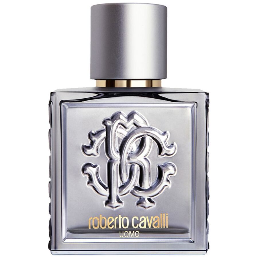 Roberto Cavalli Uomo Silver Essence edt 100ml