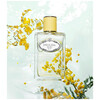 Prada Les Infusions De Mimosa edp 100ml