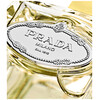 Prada Les Infusions De Mimosa edp 100ml