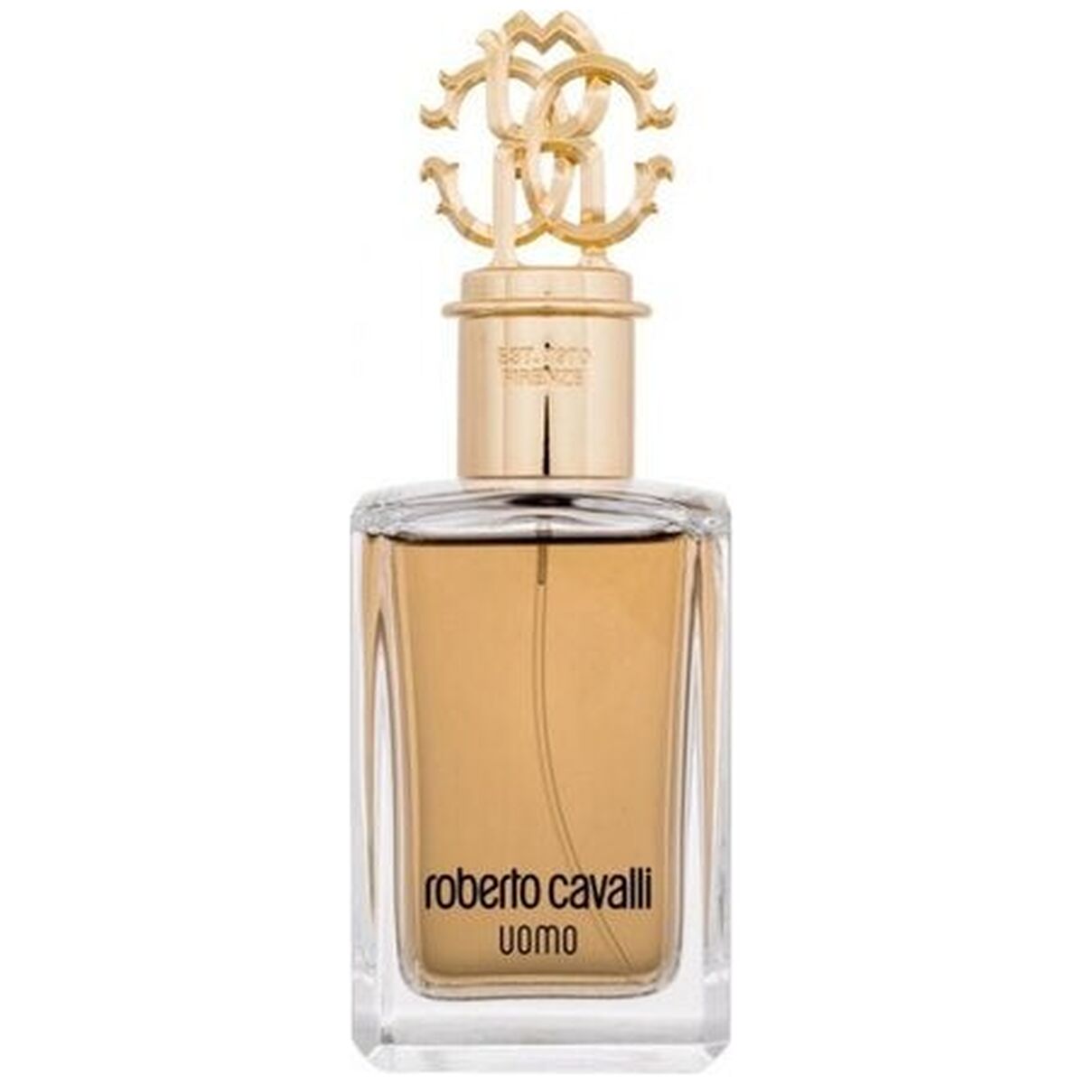 Roberto Cavalli Uomo edt 100ml