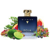 Roja Parfums Elysium Pour Homme edt 100 ml